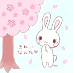 きれいなんな♡